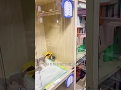 행복한 애완동물, 행복한 가정: 버크의 정화기 는 모든 일 을 해 준다!